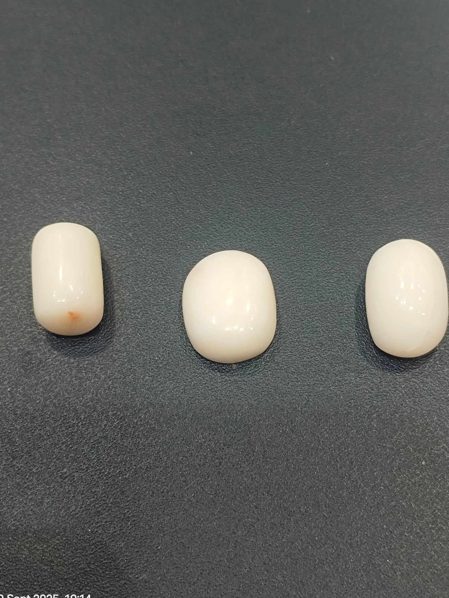 Original White Coral 8 ratti+ | Certified Natural Italian Safed Moonga | Sun Point Jewellers Barabazar, Kolkata Sun point jewellers