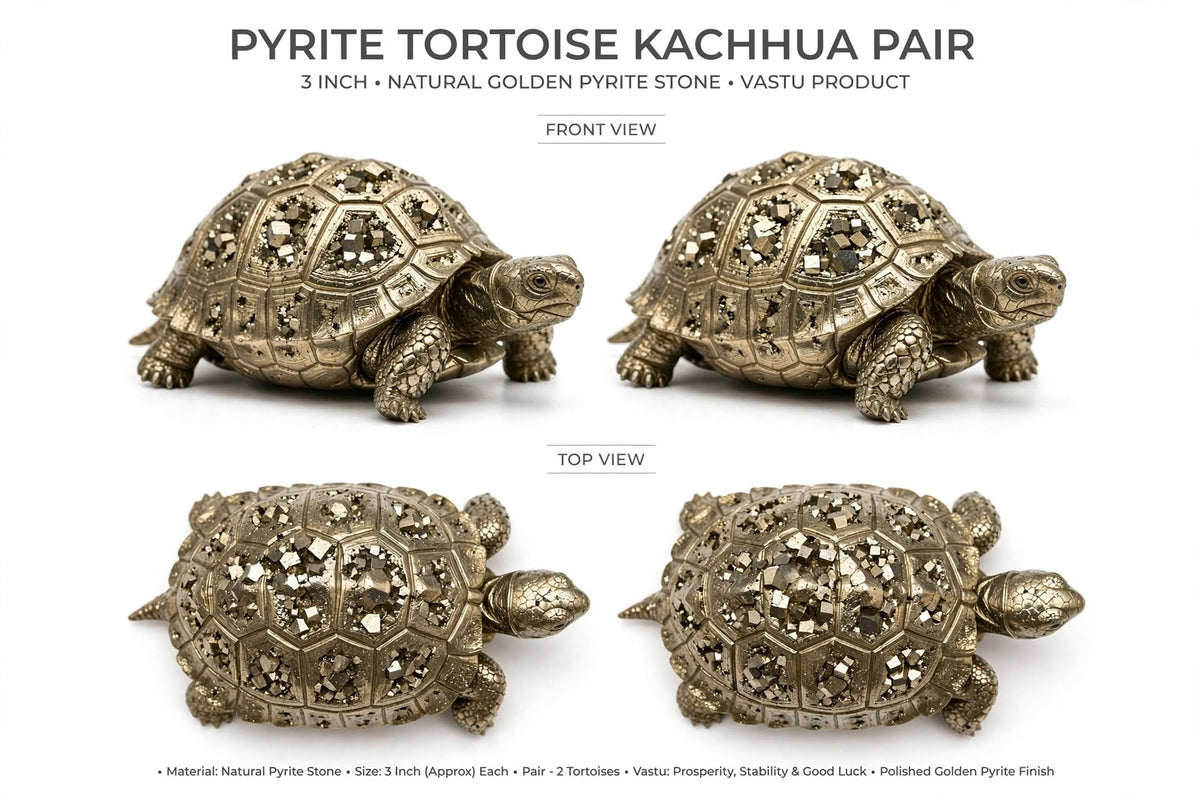 Original Vastu Pyrite Tortoise Kachhua - Natural Golden Pyrite Stone - Sun Point Jewellers