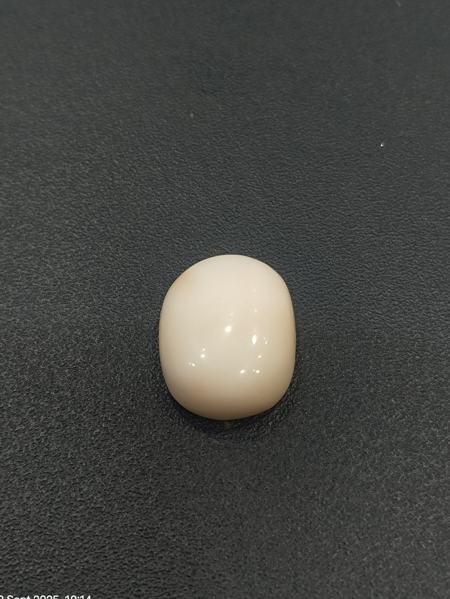 Original White Coral 7 Carat+ | Certified Natural Italian Safed Moonga | Sun Point Jewellers Barabazar, Kolkata Sun point jewellers